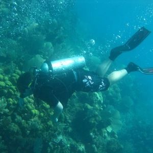 Meet your Posher, Stone